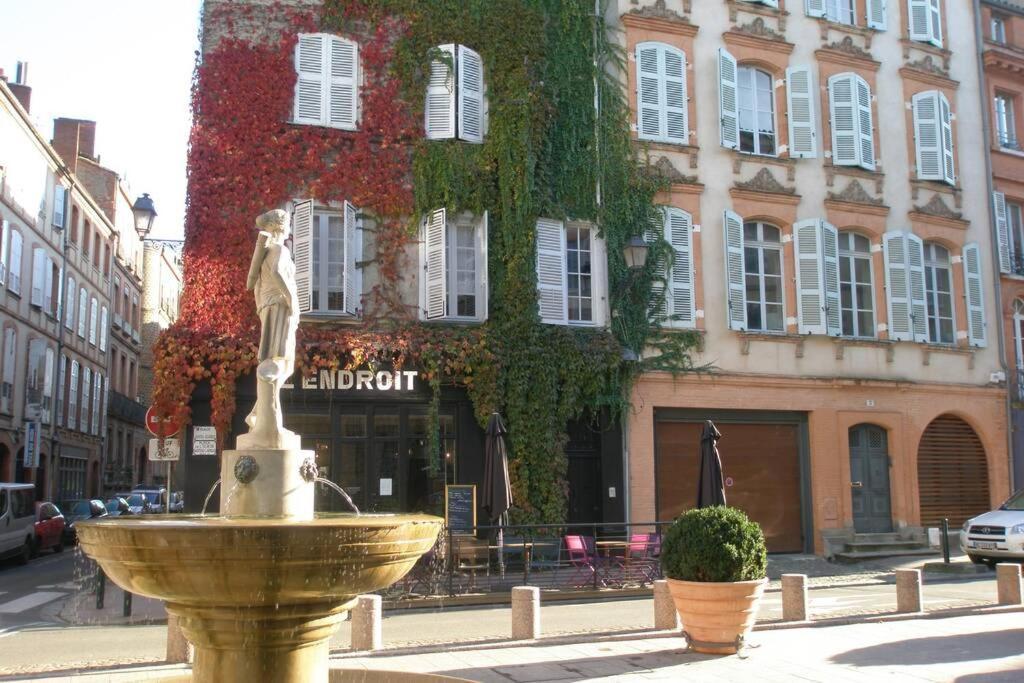 Logis De Sainte-Scarbes Apartment Toulouse Exterior photo
